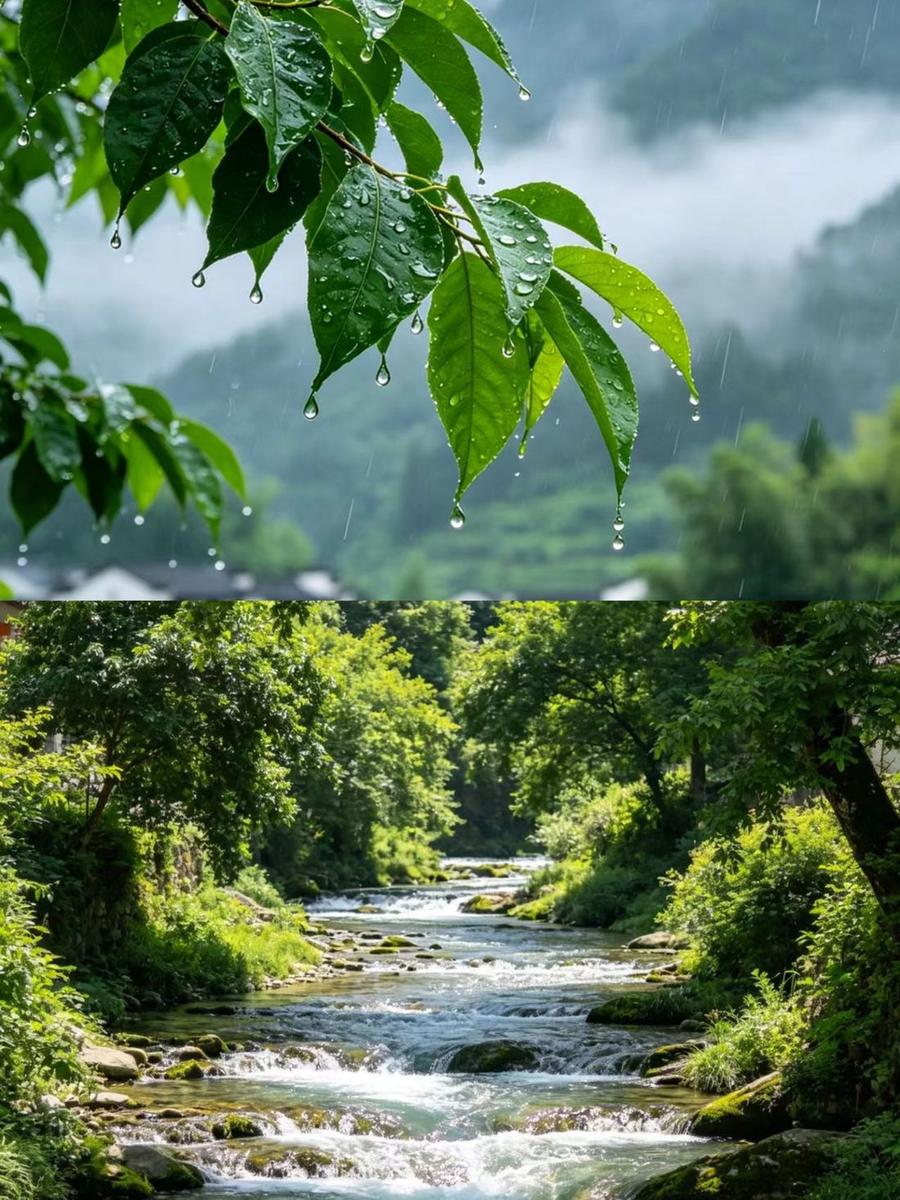 森林溪流