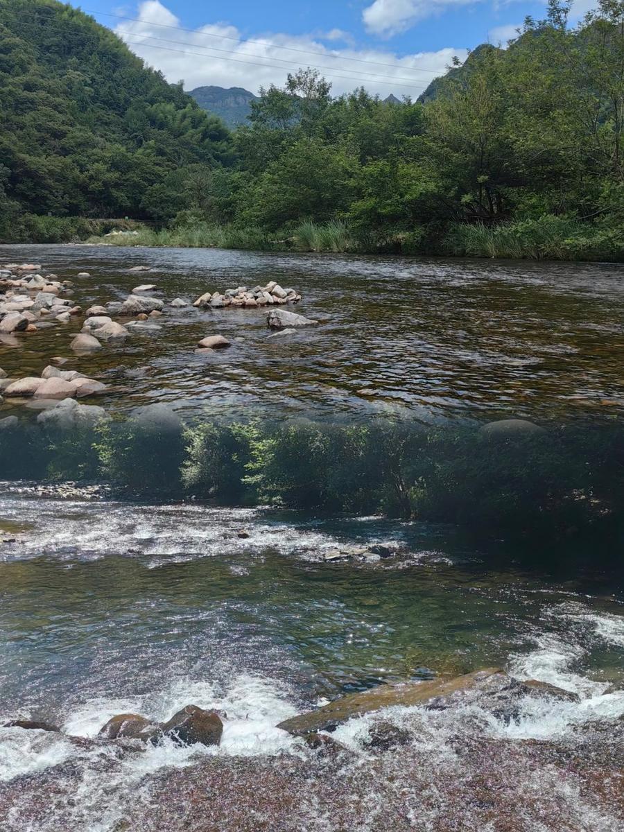 下陈朱村开阔溪面